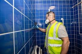 Mould Cleaning