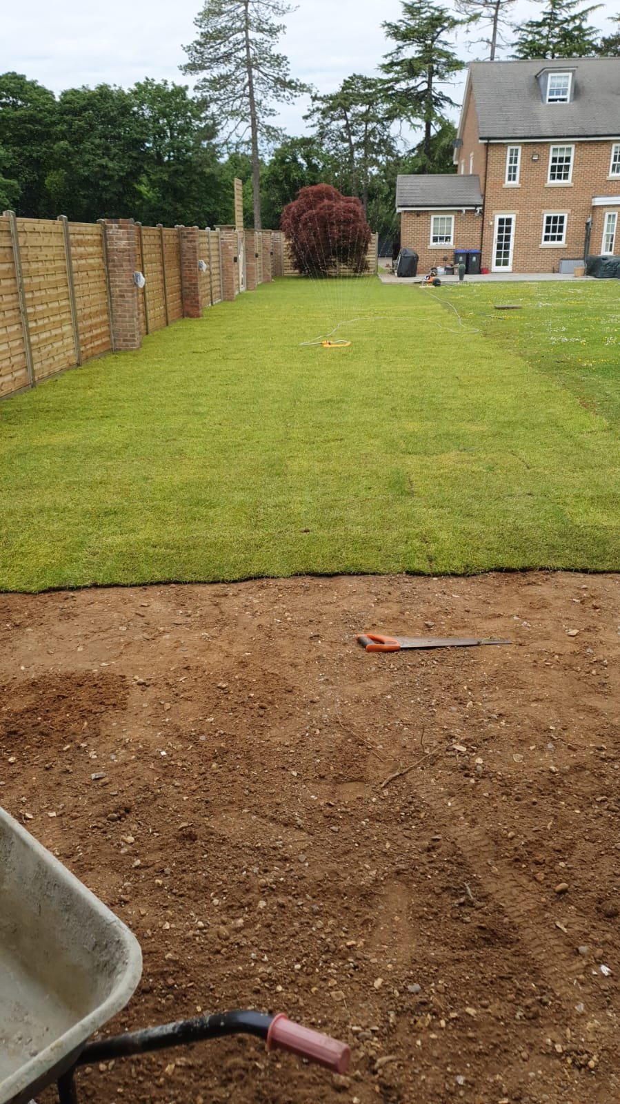 Fresh lawn installation.