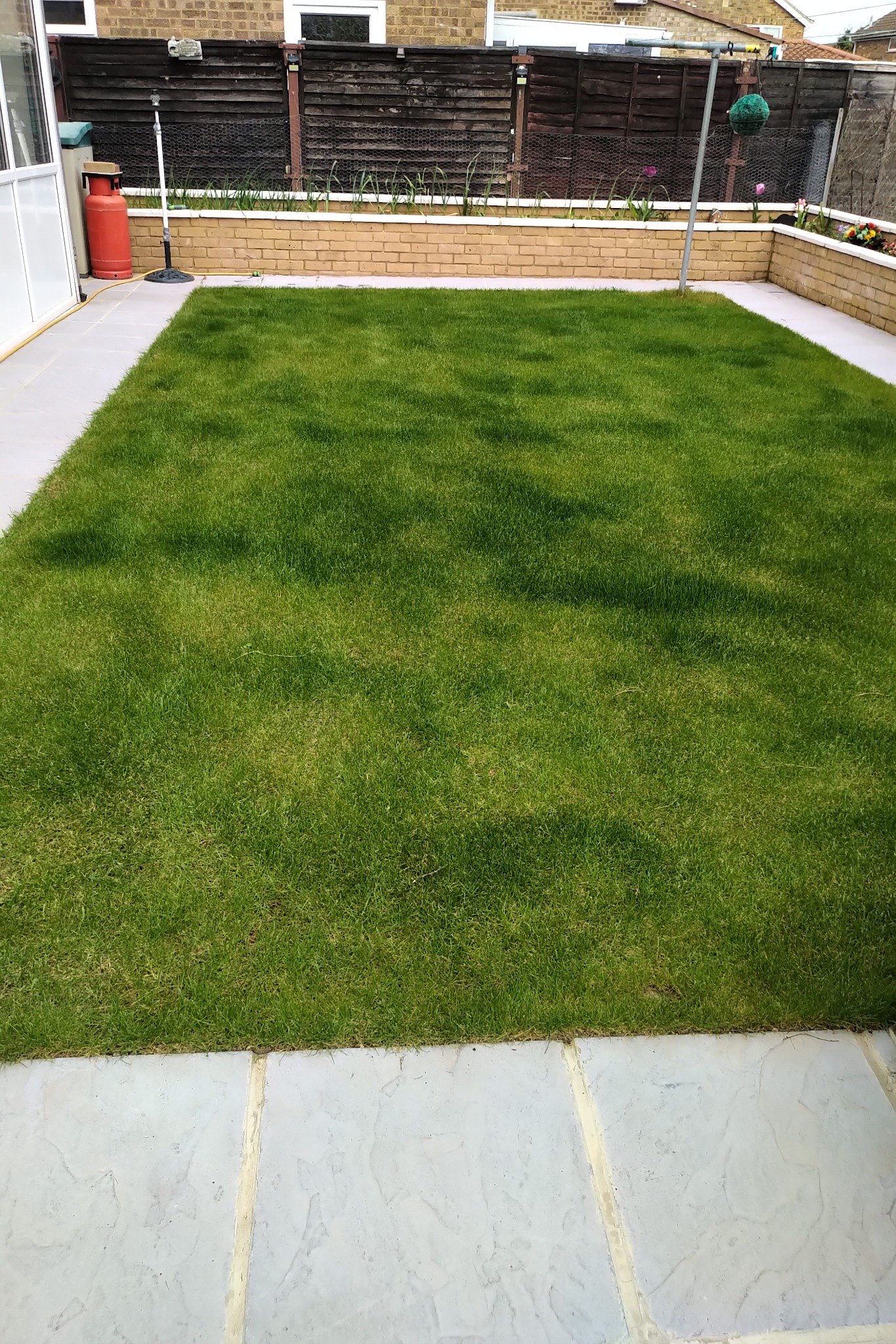 New turf laid as part of landscaping works.
